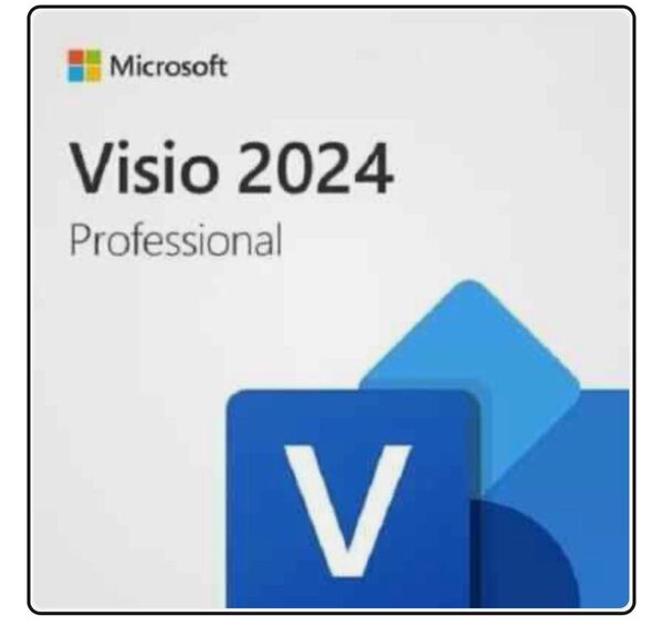 Microsoft Visio Professional 2024