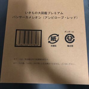 いきもの大図鑑 プレミアム パンサーカメレオン アンビローブ レッド