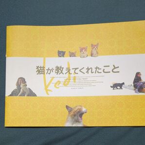 猫が教えてくれたこと 映画 パンフレット ドキュメンタリー映画