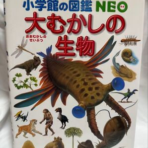 小学館の図鑑NEO 大むかしの生物