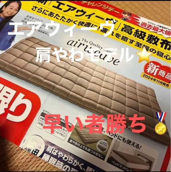 【早いもの勝ち】エアウィーヴairweave 四季布団シングル 極美品(^^)