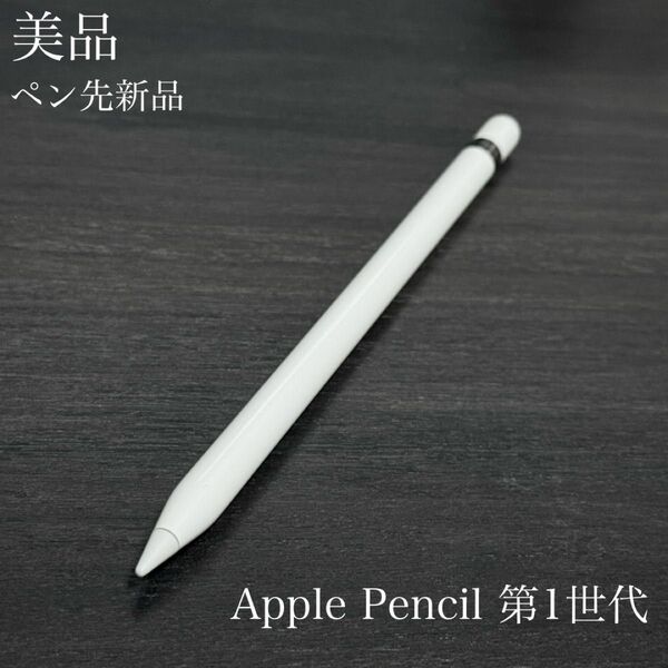 美品 ペン先新品 正常動作確認済み Apple Pencil 第1世代