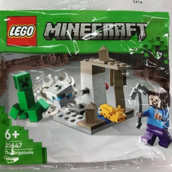 正規品 レゴ 新品未開封 マインクラフト 鍾乳洞(30647)