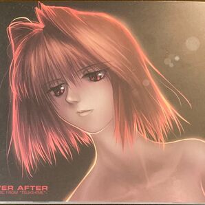 EVER AFTER 月姫 サウンドトラック アレンジ MUSIC FROM TSUKIHIME