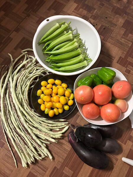 新鮮野菜詰め合わせ オクラ、インゲン、ミニトマト、大きなトマト、ピーマン、ナスなど「家で作ったので美味しいそう」
