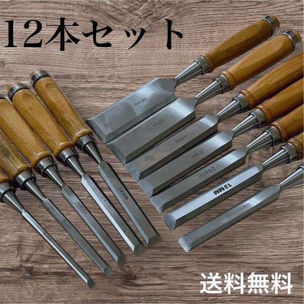 A183 ノミ 12本セット DIY 大工道具 工具 のみ 鑿日曜大工 木工 製作 彫刻
