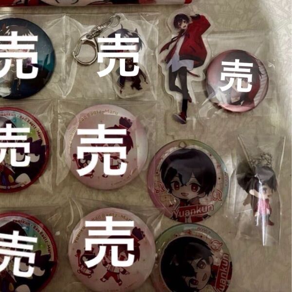 カラフルピーチ 缶バッジ からぴち ゆあんくん サンリオ 魔法学園 缶バッチ おまけ2025缶バッジ