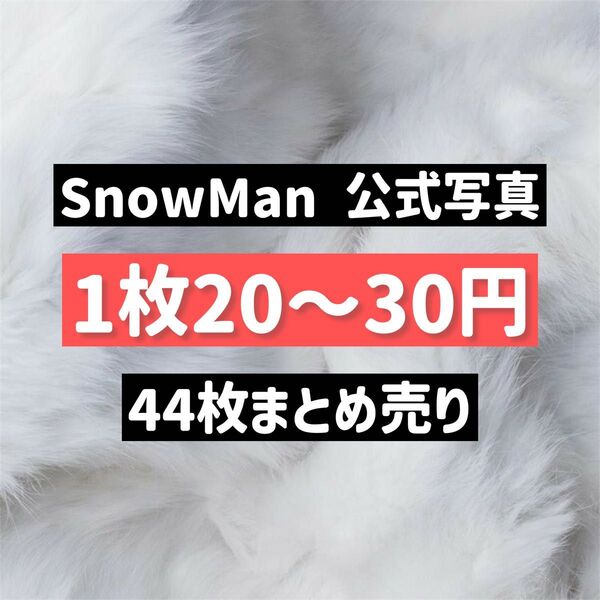 【更にお値下げしました!】SnowMan 公式写真 44枚 まとめ売り