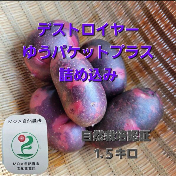 自然栽培認証デストロイヤーゆうパケットプラス詰め込み1.5キロ位