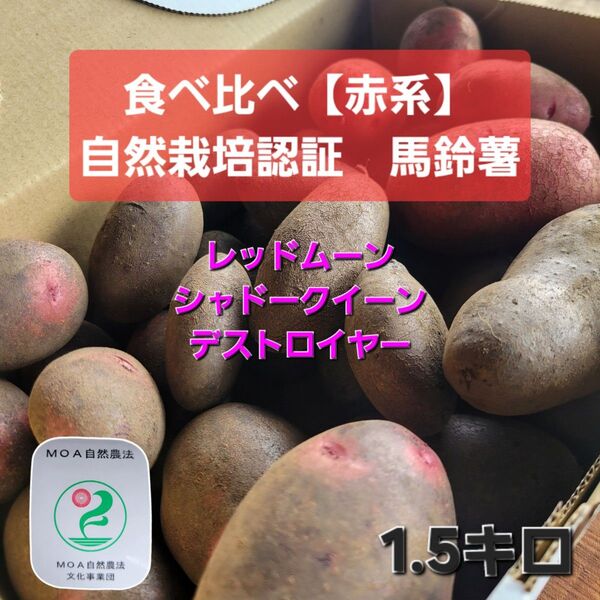 食べ比べセット「赤系」自然栽培認証1.5キロ