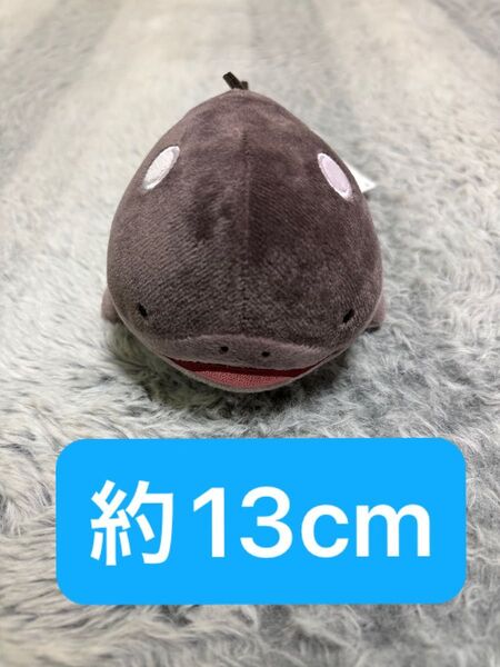 ポケモン ドオー ぬいぐるみ ポケットモンスター