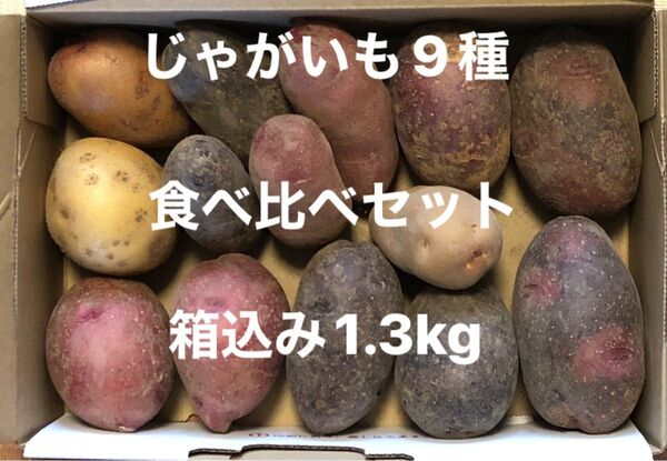 じゃがいも9種 食べ比べセット 箱込み1.3Kg グランドペチカ、シャドークィーン、インカのめざめ、俵アルタイ彦星、俵マゼラン等