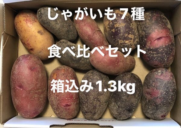 じゃがいも7種 食べ比べセット 箱込み1.3Kg グランドペチカ、シャドークィーン、ノーザンルビー 俵アルタイ彦星、俵マゼラン等