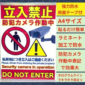 両面テープ付き 立ち入り禁止 防犯カメラ作動中 ラミネート加工 張り紙A4サイズ