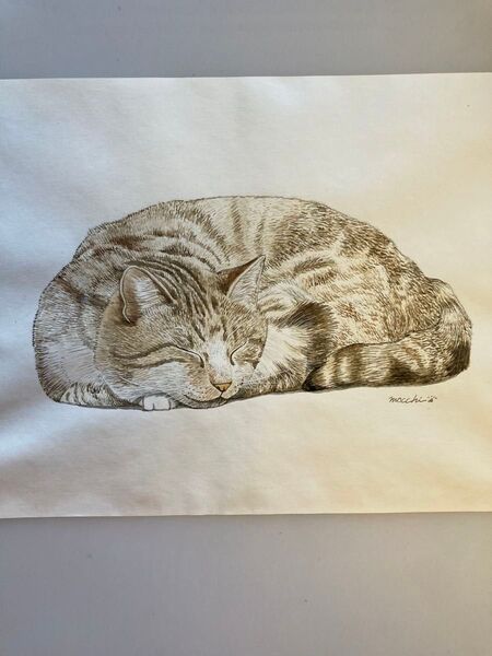 丸まって寝る猫の絵 水彩画 A4サイズ