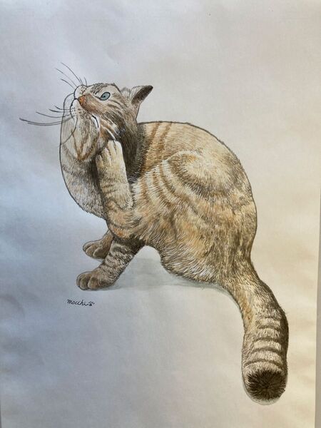 かいかいする猫の絵 水彩画 A4サイズ