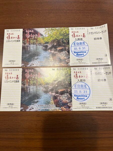 【2枚】ナガシマスパーランド 湯あみの島 入場券 湯あみの島