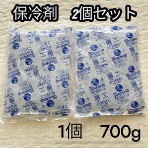 保冷剤 大 2個セット ビッグサイズ キャンプ 夏 BBQ 大きめ 釣り アウトドア