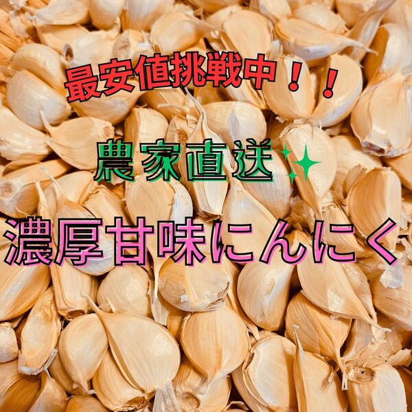 にんにく 福地ホワイト六片 バラ1kg 青森県産種子使用