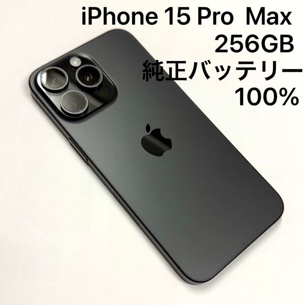 Apple iPhone 15 Pro Max 256GB 海外版 SIMフリー バッテリー100% ブラックチタニウム