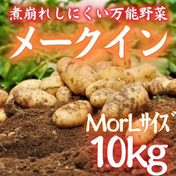3お買い得 じゃがいも メークイン 約10kg 万能野菜 野菜 MLサイズ
