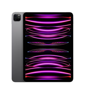 【極美品】iPad Pro 11 第4世代 (2022) 2TB M2 Wi-Fi スペースグレイ