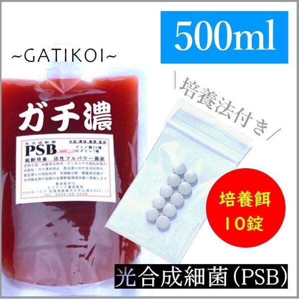 ガチ濃い!培養酵母10錠付!PSB(光合成細菌) 500ml入り
