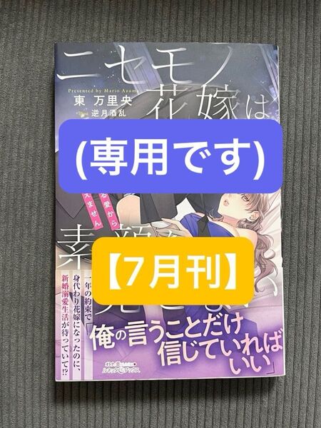 【専用】ニセモノ花嫁は素顔を見せない 御曹司の強すぎる愛から逃がしてもらえません (ルネッタブックス) 他、一冊