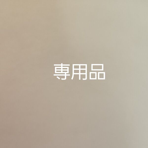 専用品 TIRTIR マスクフィットAI フィルタークッション