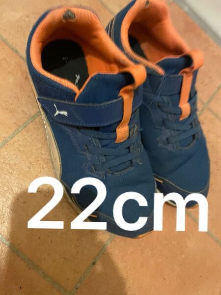 PUMA スニーカー キッズ 22cm マジックテープ 子供 小学生 靴