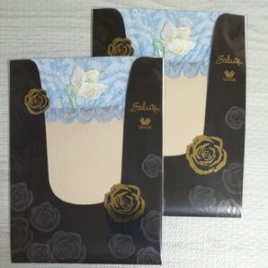 【2個セット】Wacoal Salute サルート