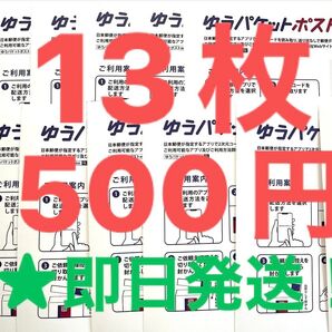 ★同梱がお得◎2点で※32枚、3点で51枚、4点で71枚 ゆうパケットポストmini 13枚 専用 封筒 ヘアゴム1本 ◎即日発送