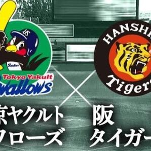 9/21(日) ヤクルトvs阪神 S指定席3塁側 1枚