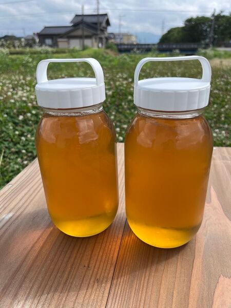 養蜂家直送!2.4kg(2400g)採れたて新蜜【非加熱・純粋はちみつ 糖度83度】金沢×富山の花々からとれた濃厚な甘さの百花蜜