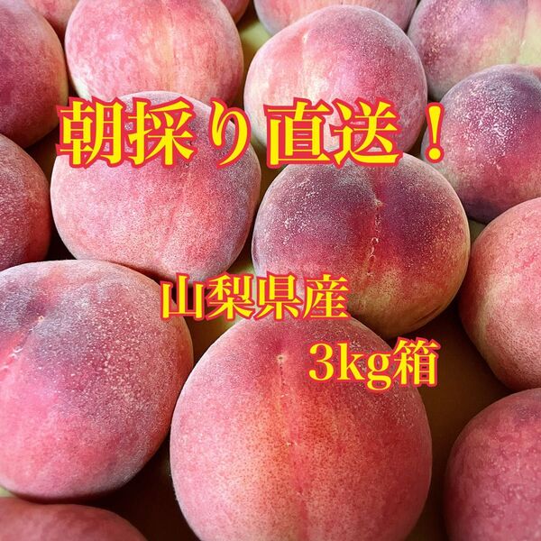 朝採り! 山梨県産 桃 3kg