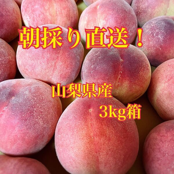 朝採り! 山梨県産 桃 3kg