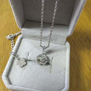 ANNA SUIは薔薇ネックレス SILVER925