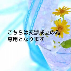 【考姫様専用出品】