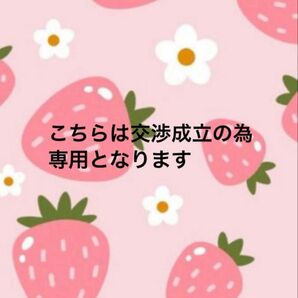 【クリスタル様専用出品】