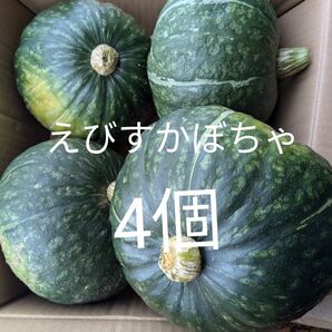 えびすかぼちゃ 4個セット