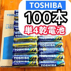 アルカリ乾電池 東芝 100本 単4電池 災害備蓄 最安値価格 パワー長持ち 乾電池 防災