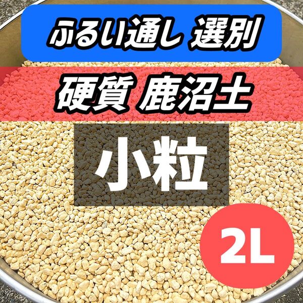 ふるい通し選別 2L 硬質鹿沼土 小粒 多肉植物 観葉植物 培養土