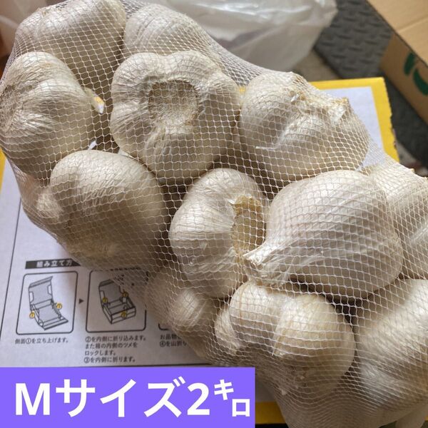 青森県産 乾燥にんにく M サイズ 福地ホワイト六片黒にんにく おすすめ