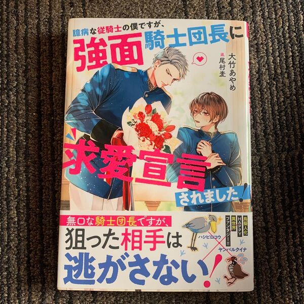 「臆病な従騎士の僕ですが、強面騎士団長に求愛宣言されました!」