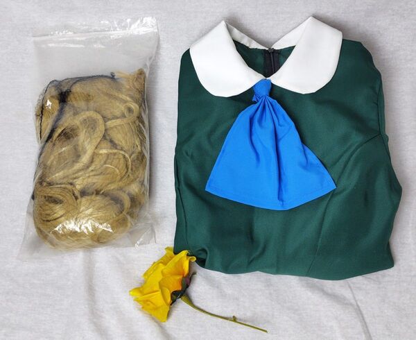Ib メアリー コスプレ衣装 ウィッグ セット