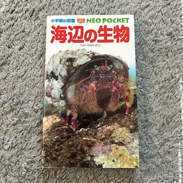 小学館の図鑑NEO POCKET 海辺の生物
