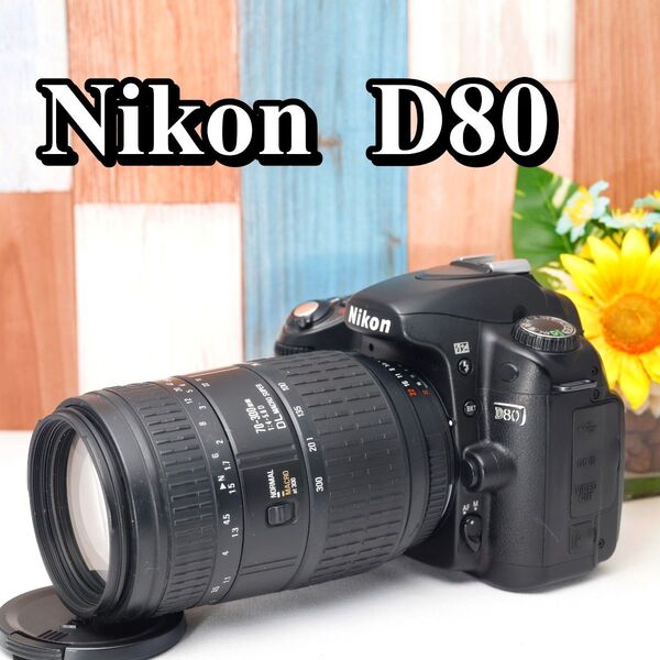 ショット数わずか!! カメラバッグ付 Nikon D80 ニコン スマホ転送OK 超望遠レンズセット デジタル一眼レフ 入門機