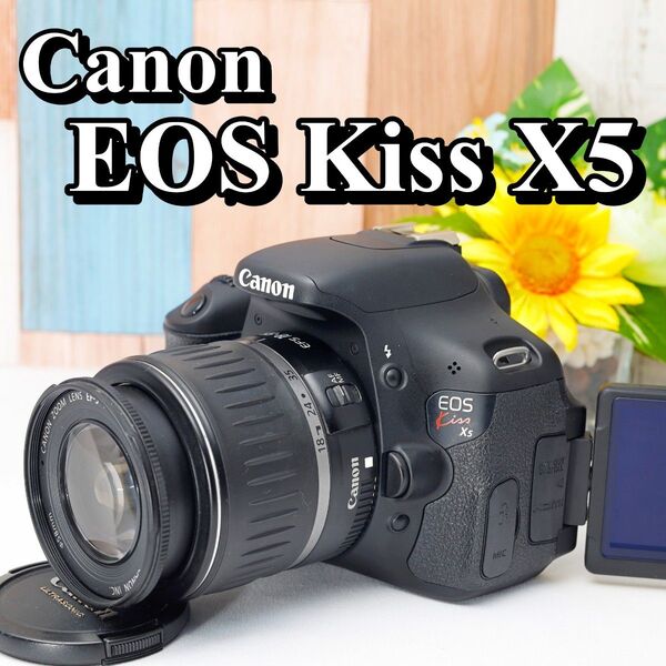 Canon EOS Kiss X5 ショット数極少 カメラバッグ付 スマホ転送OK 液晶反転自撮りOK レンズセット キャノン