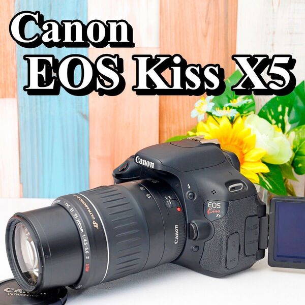 Canon EOS Kiss X5 ショット数わずか カメラバッグ付 スマホ転送OK 液晶反転自撮 望遠レンズ付 レンズセット