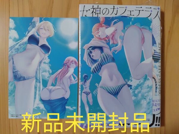 【新品未開封品】女神のカフェテラス 20 (講談社コミックス 週刊少年マガジン) 瀬尾公治/著